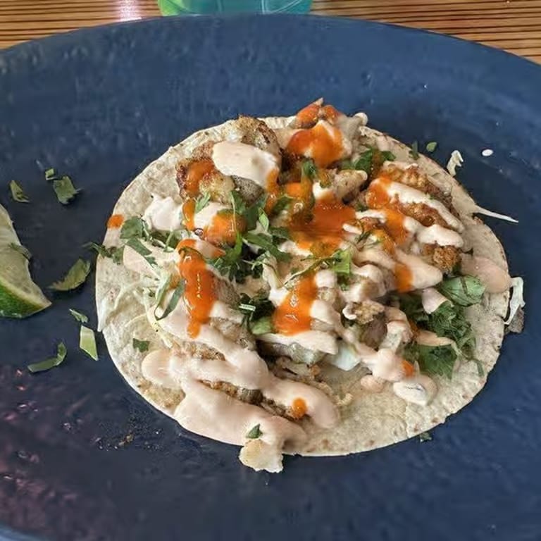 Savor Our Fish Dishes